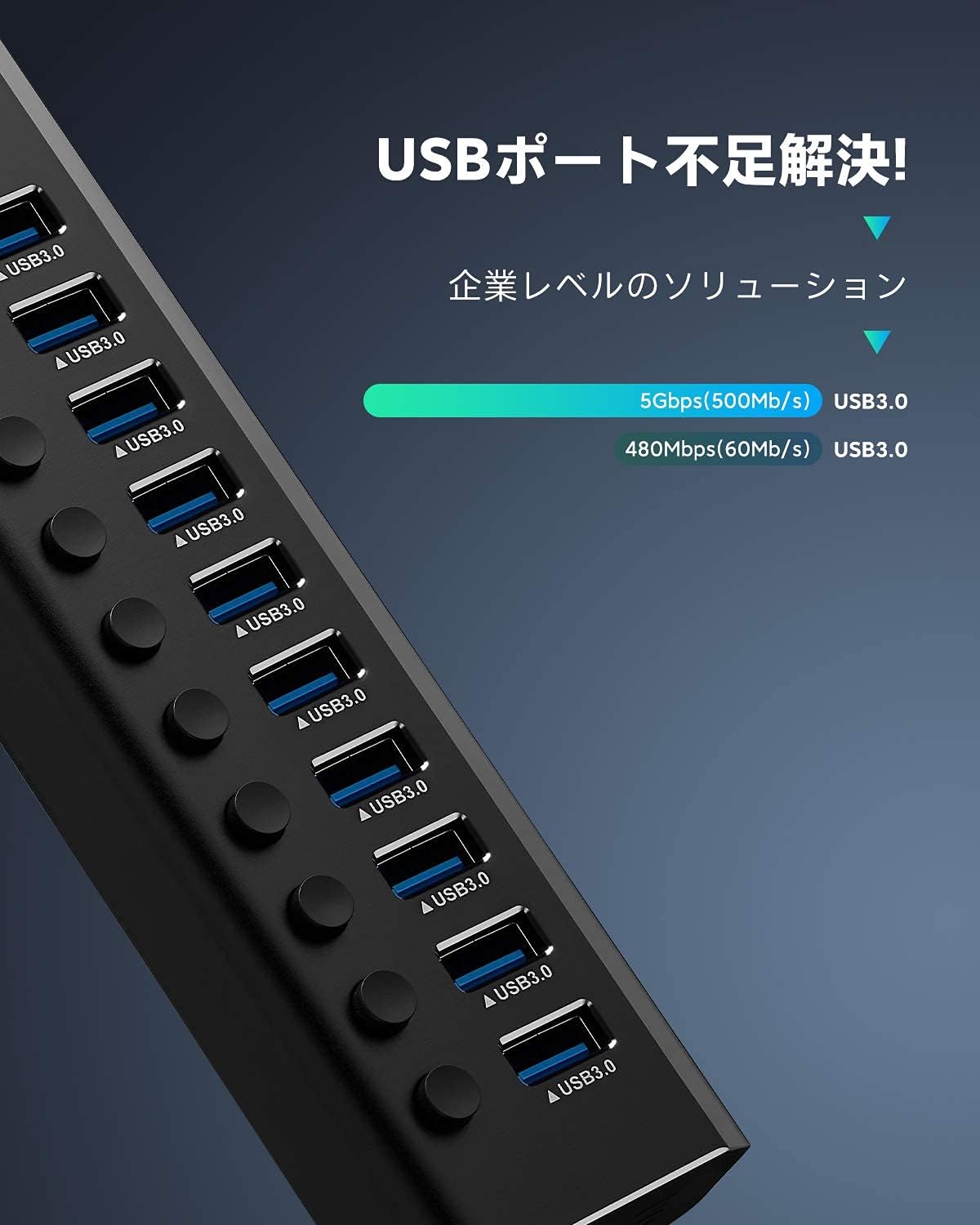 ROSONWAY 10ポート USBハブ アルミ製で アップ 5Gbps高速転送 セルフパワー USB拡張 独立スイッチ付 12V/3A ACアダプタ付き(RSH-A10)