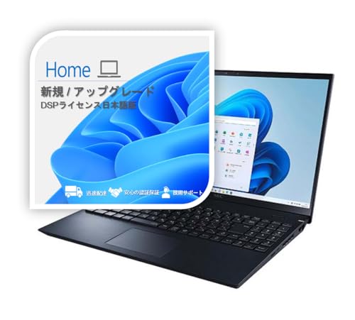 【Windows11 Home】 DSPライセンス日本語版 1枚目 画像