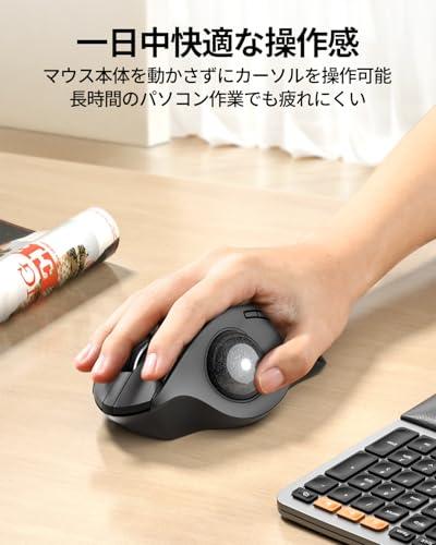 ProtoArc トラックボールマウス 2.4GとBluetooth対応 3台デバイス同時接続 5段階DPI 7ボタン 無線 windows/mac/iPad対応 USB-C充電式 長時間PC作業 静音 自宅/オフィス用 USBレシーバー付属 多色ボール選べる 日本語取扱説明書 (JP, くろつるばみ) 中間 画像