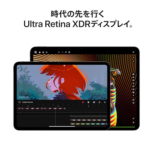 Apple 13インチiPad Pro (M4): Ultra Retina XDR ディスプレイ、256GB、横向きの 12MP フロントカメラ/12MP バックカメラ、LiDAR スキャ ナ、Wi-Fi 6E + 5G 携帯電話通信(eSIM)、Face ID、一日中使えるバッテリー - スペースブラック 中間 画像