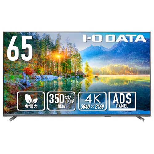IODATA モニター 65インチ 4K UHD ADSパネル 高輝度 350cd/m2 18時間連続稼働 サイネージ (HDMI×3/D-sub9ピン/USB-A/スピーカー付/リモコン付/土日サポート/日本メーカー) EX-U651DX 1枚目 画像