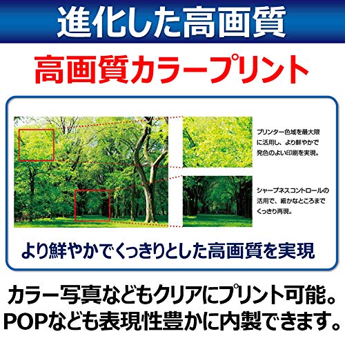 Canon キヤノン A4カラーレーザープリンター Satera LBP621C 中間 画像