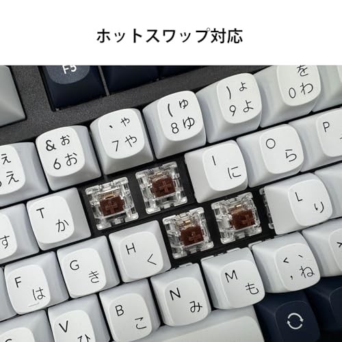 【Amazon.co.jp限定】Keychron C3 Pro カスタムゲーミングキーボード、コンパクトテンキーレスレイアウト/JISレイアウト/RGBバックライト/有線接続メカニカルキーボード/ホットスワップ対応/ガスケットマウント/ダブルショットPBTキーキャップ/Mac Windows Linux対応 (Keychron Superスイッチ赤軸) 中間 画像