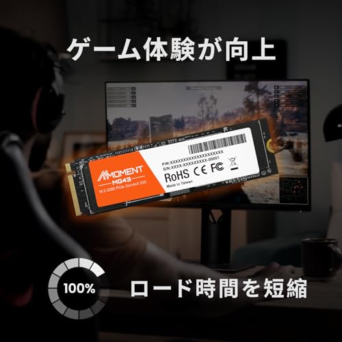 MMOMENT MG43 250GB M.2 2280 PCIe Gen4x4 NVMe1.4 内蔵SSD (最大読込4650MB/s)の特徴・詳細 画像