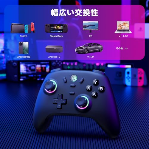 PC コントローラー 無線/有線接続 2.4Gレシバー付き ホール効果スティック RGBライト 1000Hz ポーリングレート TURBO連射 振動調整 800mAhバッテリー PC/Steam deck/Switch/Android/iOSに対応 ブラックの特徴・詳細 画像